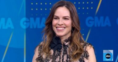 Hilary Swank announces she is going to be a mom: “And not just of 1, but of 2”