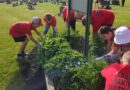 McComb Students Participate In Community Service Project Day