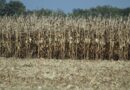 Drought Conditions Worsening In Ohio