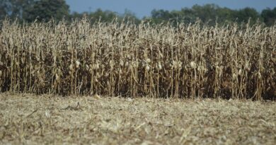 Drought Conditions Worsening In Ohio