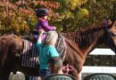 Project HOPE Trick-Or-Treat On Horseback Fundraiser