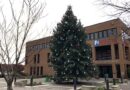 Findlay Seeking Donation Of City Christmas Tree