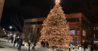 City Announces Date Of Christmas Tree Lighting Ceremony