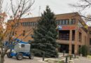 Findlay Christmas Tree Put Up In Dorney Plaza