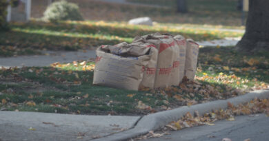 Findlay Leaf Pick-Up Continues For A Few More Days