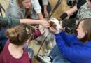 School Resource K9 Visits Middle School Students