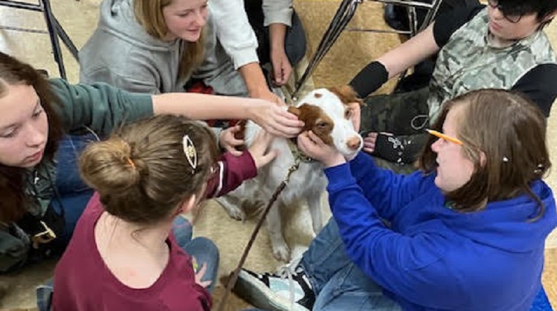 School Resource K9 Visits Middle School Students