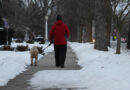 People Being Reminded To Keep An Eye On Their Pets This Winter