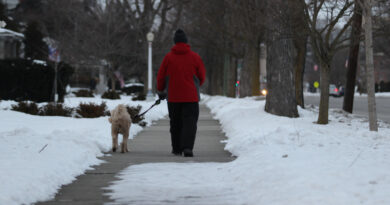 People Being Reminded To Keep An Eye On Their Pets This Winter