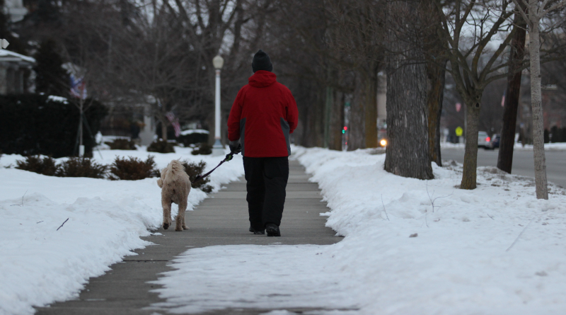 People Being Reminded To Keep An Eye On Their Pets This Winter