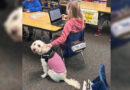 Therapy Dog A Calming Presence For Students