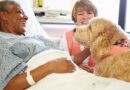 BVHS: Pet Therapy Improves Mental And Physical Health