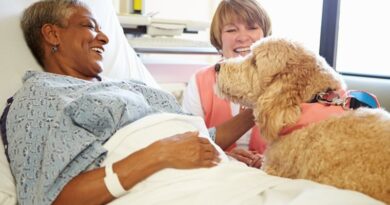 BVHS: Pet Therapy Improves Mental And Physical Health