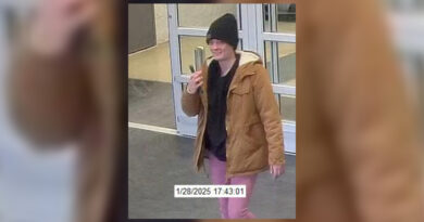 Police Seeking Help IDing Individual In Theft Investigation