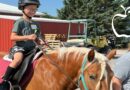 ‘Grief Trails’ Camp Supports Children Who Have Lost A Loved One