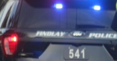 Driver Arrested After Short Pursuit