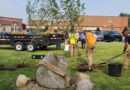 Effort To Recreate The ‘Old Twin Elm’ Tree