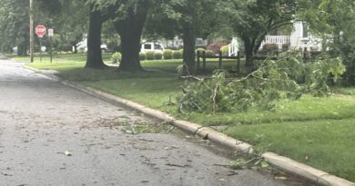 Curbside pickup for Findlay residents after storm