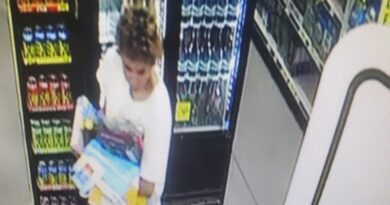 Police Seeking Help IDing Individual In Theft Investigation