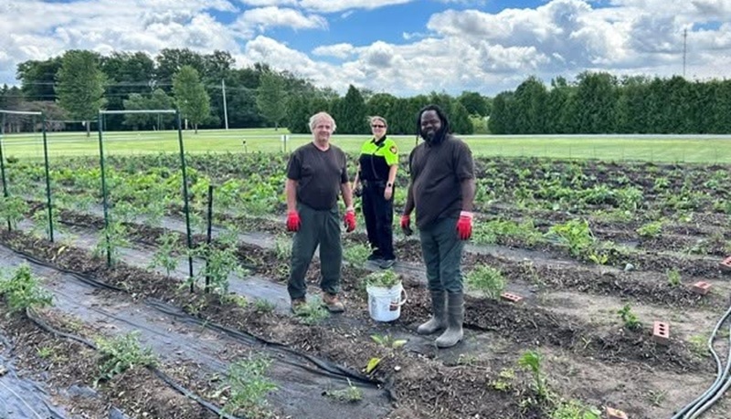 Jail Saves Money By Growing Its Own Vegetables