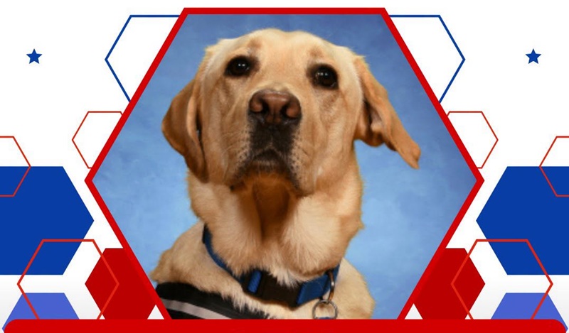 LB Therapy Dog Saluted For Perfect Attendance